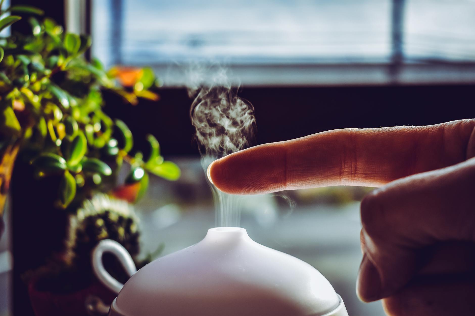 Desvende o Poder dos Aromas: Guia Completo de Aromaterapia para Iniciantes e Seus Usos 2 person putting finger on mist
