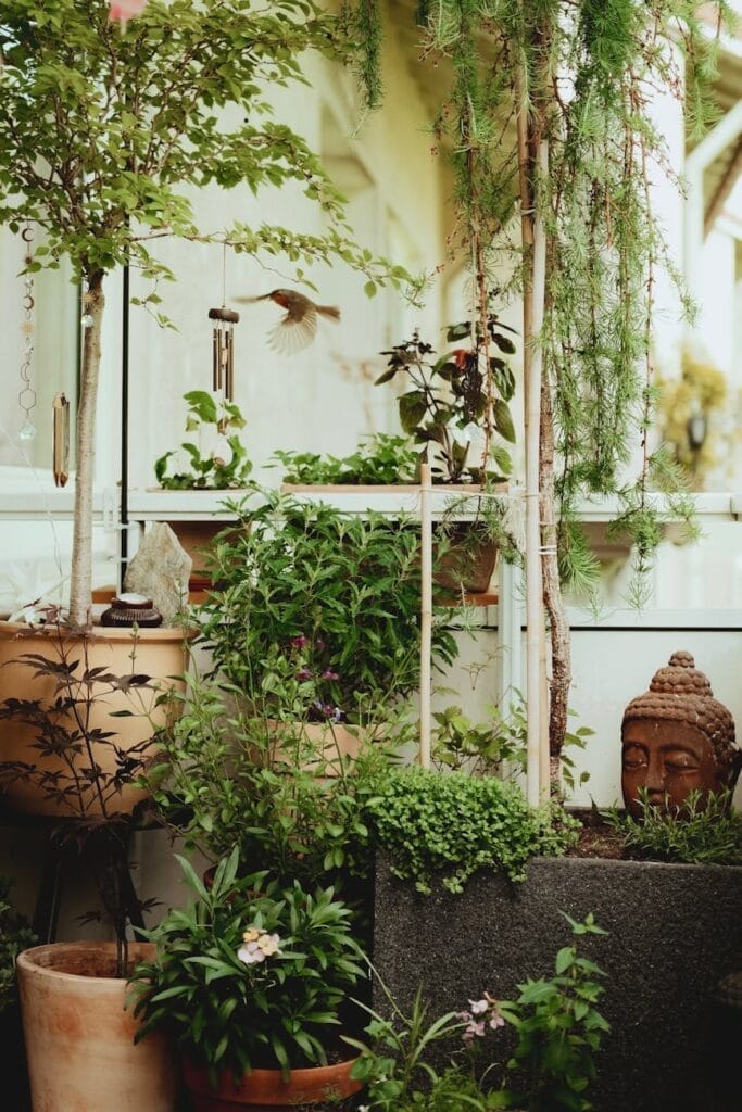 decorative potted plants by head of buddha statue